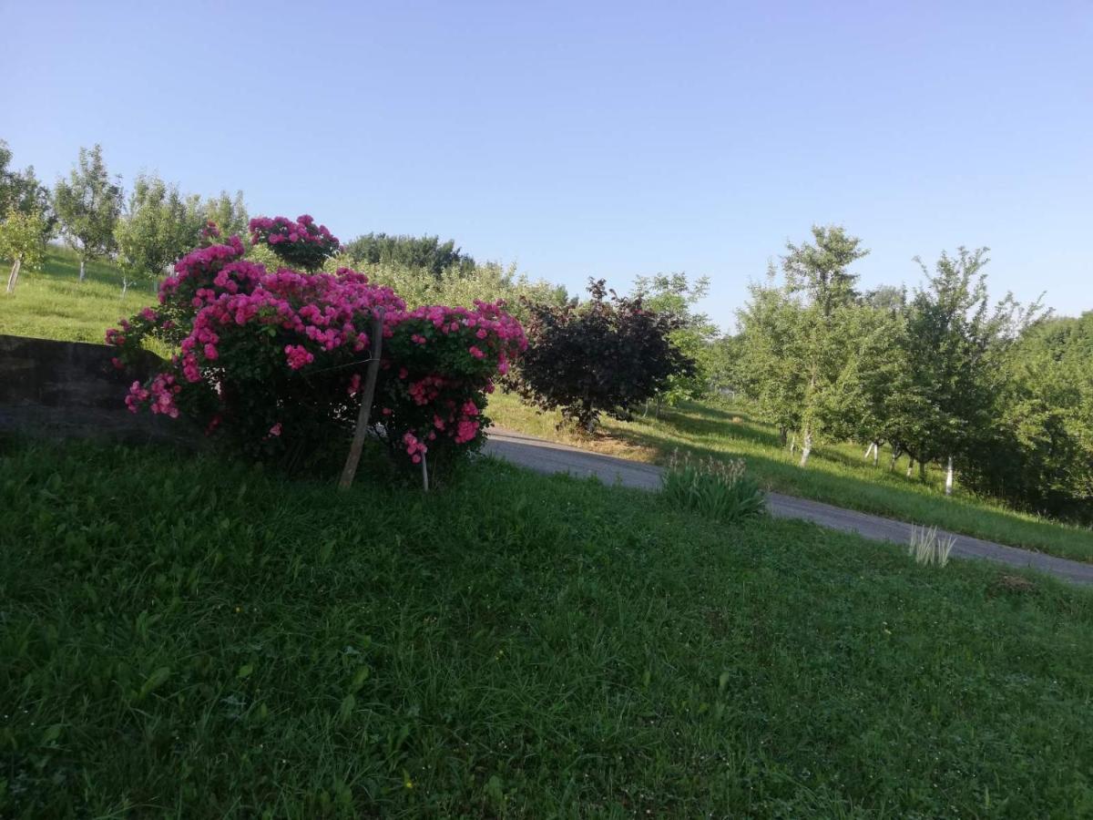 Kalesija Vikendica I Vajat Vrbica 빌라 외부 사진